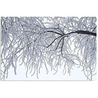 Tableau Branches Couvertes De Neige 40 X 30 Cm Blanc