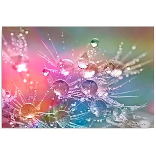 Tableau Des Gouttes D'eau Sur Trois Dmuchawcu 40 X 30 Cm Multicolore