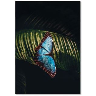 Tableau Bois Papillon Sur Une Feuille 50 X 70 Cm Bleu