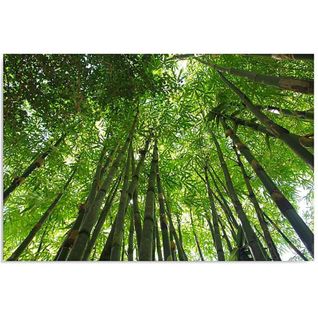 Tableau Bois Une Bambouseraie 120 X 80 Cm Vert