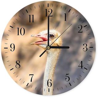 Horloge Murale Design Autruche Expressive Décorative 40 X 40 Cm Beige