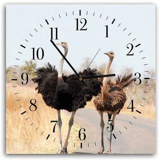 Horloge Décorative Avec Duo D'autruches Sauvages 50 X 50 Cm Beige