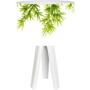 Lampe De Chevet Bois Vert 30x30x45cm