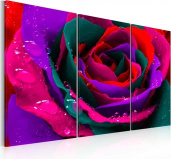 Tableau Rose Irisée 90 X 60 Cm Rouge