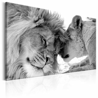 Tableau L'amour Du Lion 60 X 40 Cm Blanc