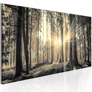 Tableau Rayon De Soleil 120 X 40 Cm Beige