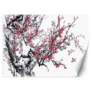 Papier Peint Fleurs De Cerisier 350 X 245 Cm Blanc
