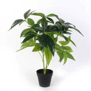 Plante Artificielle En Pot "corvod" 60cm Vert