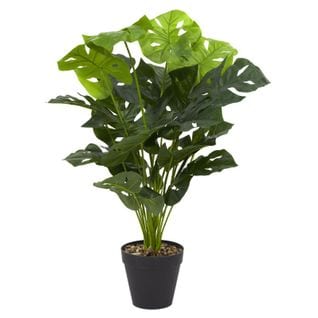 Plante Artificielle "monstrera" 80cm Vert