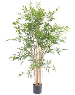 Plante Artificielle Haute Gamme Spécial Extérieur En Bambou Artificiel, Couleur Verte - 120 X 75 Cm