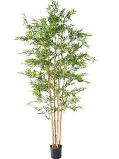 Plante Artificielle Haute Gamme Spécial Extérieur En Bambou Artificiel, Couleur Verte - 240 X 110 Cm