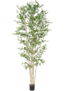 Plante Artificielle Haute Gamme Spécial Extérieur En Bambou Artificiel, Couleur Verte - 280 X 110 Cm