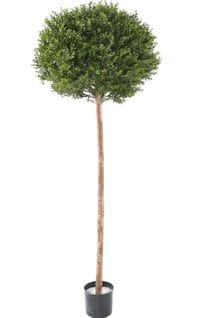 Plante Artificielle Haute Gamme Spécial Extérieur/buis Artificiel Coloris Vert - 170 X 62 X 62 Cm