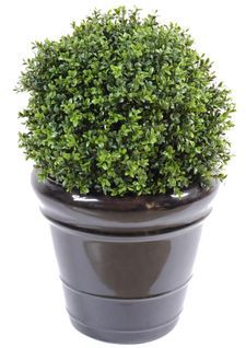 Plante artificielle haute gamme Spécial extérieur / Buis boule artificiel - Dim : H.50 x D.40 cm