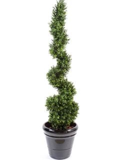 Plante Artificielle Haute Gamme Spécial Extérieur/buis Artificiel Forme Spirale - Hauteur : 160 Cm