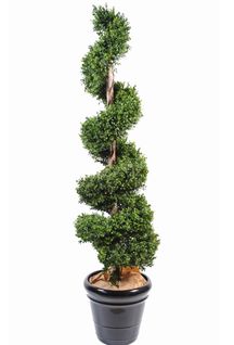 Plante artificielle haute gamme Spécial extérieur / Buis spirale artificiel - Dim : 180 x 40 cm