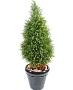 Plante artificielle haute gamme Spécial extérieur / Cyprès coloris vert - Dim : 135 x 60 cm