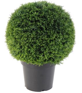 Plante artificielle haute gamme Spécial extérieur / Cyprès artificiel vert - Dim : H.55 x D.45 cm