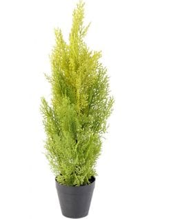 Plante Artificielle Haute Gamme Spécial Extérieur/cyprès Artificiel Coloris Vert/jaune - 60 X 20 Cm