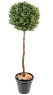 Plante Artificielle / Eucalyptus Artificiel Boule - Dim : 110 x 45 cm
