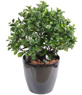 Plante artificielle haute gamme Spécial extérieur / Peperomia artificiel vert - Dim : 60 x 55 cm