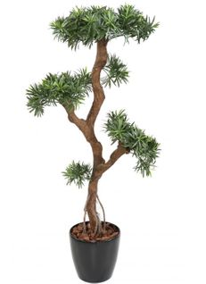 Plante artificielle haute gamme Spécial extérieur / Podocarpus artificiel - Dim : 135 x 80 cm