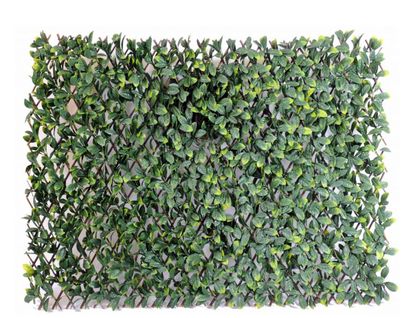Plante artificielle haute gamme Spécial extérieur / CHARME GF PALISSADE - Dim : 100 x 200 cm