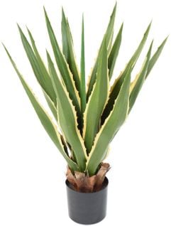 Plante artificielle haute gamme Spécial extérieur / AGAVE FURCRAEA - Dim : 80 x 60 cm