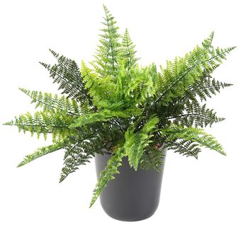 Plante artificielle haute gamme Spécial extérieur / Fougere artificielle - Dim : 40 x 40 cm