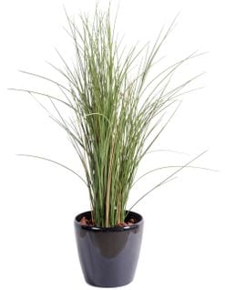 Plante artificielle haute gamme Spécial extérieur / Herbe artificielle - Dim : 80 x 30 cm