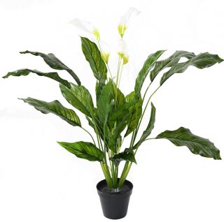 Plante artificielle haute gamme Spécial extérieur / SPATHIPHYLLUM Artificiel - Dim : 90 x 80 cm