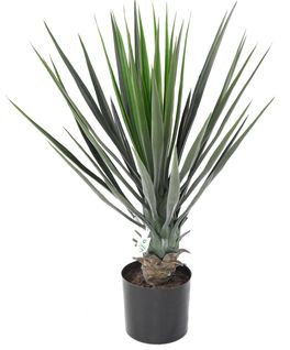 Plante artificielle haute gamme Spécial extérieur / YUCCA Artificiel - Dim : 60 x 40 cm