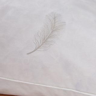 Oreiller 60 X 60 Cm Blanrêve Gamme Naturelle "prestige" Plumes Véritables Confort Moelleux