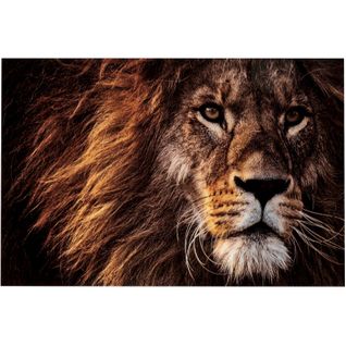 Tableau Lion Marron Verre 150x2x100cm