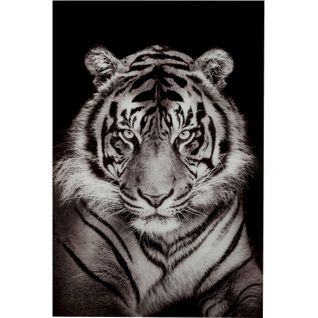 Tableau Tigre Blanc Verre 100x2x150cm