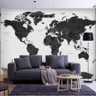 Papier Peint Carte Du Monde En Noir Et Blanc 250 X 175 Cm Noir