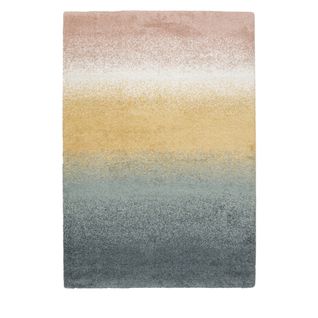 Tapis Scandinave Multicolore