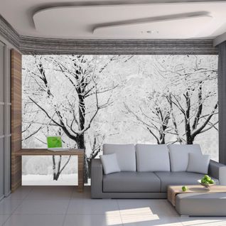 Papier Peint Arbres Paysage D'hiver 300 X 230 Cm Blanc