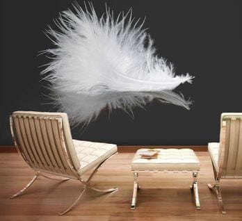 Papier Peint Plume Blanche 350 X 270 Cm Blanc