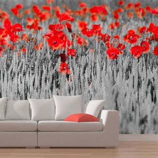 Papier Peint Coquelicots Rouge Sur Champ Noir Et Blanc 350 X 270 Cm Rouge