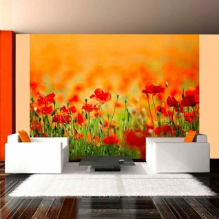 Papier Peint Coquelicots, Beaux Jours D'été 400 X 309 Cm Rouge