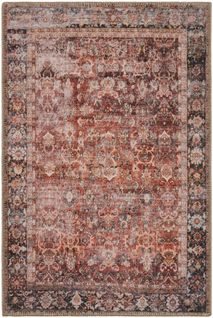 Tapis De Salon Vintage Motif Fleuris Rouge Bleu 67x100cm