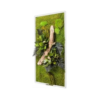 Tableau Végétal Rectangle Xl Avec Plantes Stabilisées 57 x 97 cm