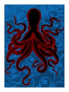 Curiosity - Signature Poster - Octopus_2 - 60x80 Cm