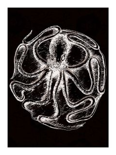 Curiosity - Signature Poster - Octopus - 60x80 Cm