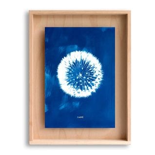 Cadre Carpë Cyanotype Pissenlit 40x30cm Bleu