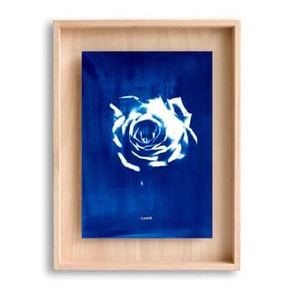Cadre Carpë Cyanotype Rose 40x30cm Bleu