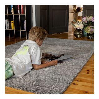 Tapis Moderne Rectangle Intérieur Smarty Gris 80x150