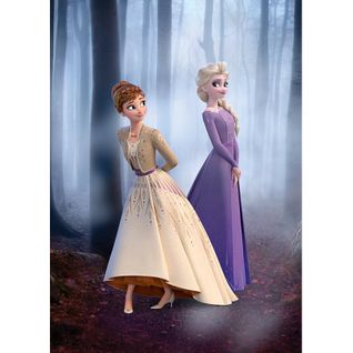 Poster Disney La Reine Des Neiges 2 - Anna Et Elsa Se Promènent En Forêt 50 Cm X 70 Cm