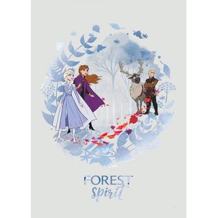 Poster Disney La Reine Des Neiges 2 - Esprit De La Forêt 30 Cm X 40 Cm